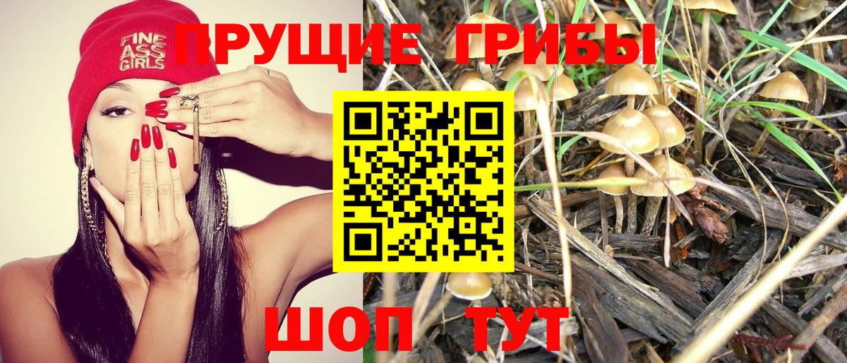 Вологда  Псилоцибиновые грибы Psilocybe  Вход с VPN  Псилоцибиновые грибы MAGIC MUSHROOMS 
